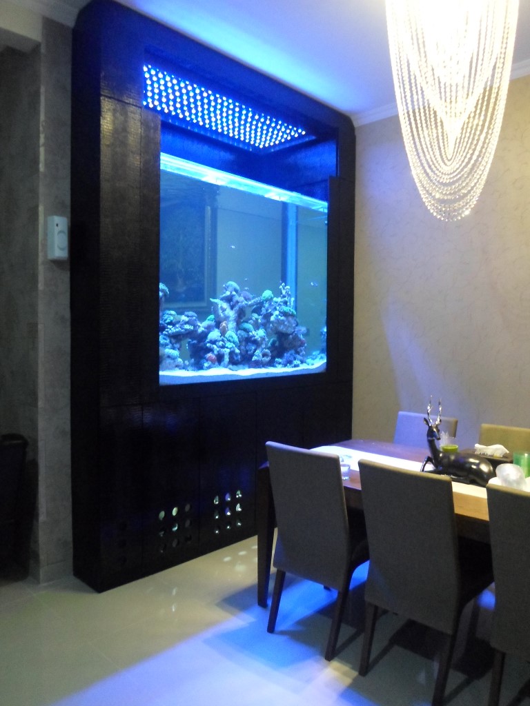 desain aquarium dinding miss I